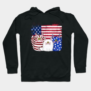 Red White Blue Cats USA Flag Firework 4th Of July Shirt Hoodie